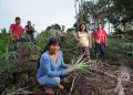 Política nativa promueve participación de mujeres indígenas del río Mirití Paraná