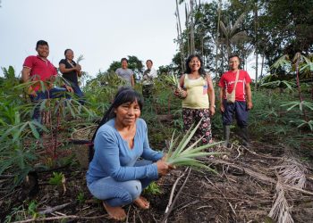 Política nativa promueve participación de mujeres indígenas del río Mirití Paraná